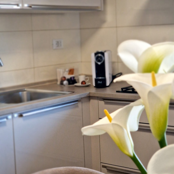 Cucina, Apartments Cerin - Rovinj, Apartments Cerin-Rovinj, Croazia Rovinj