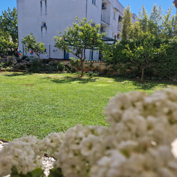 Soggiorno, Apartments Cerin - Rovinj, Apartments Cerin-Rovinj, Croazia Rovinj