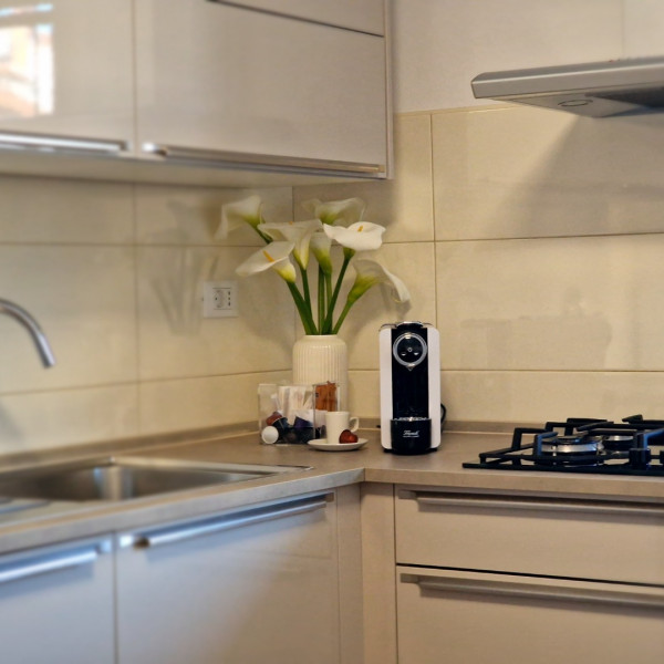 Cucina, Apartments Cerin - Rovinj, Apartments Cerin-Rovinj, Croazia Rovinj