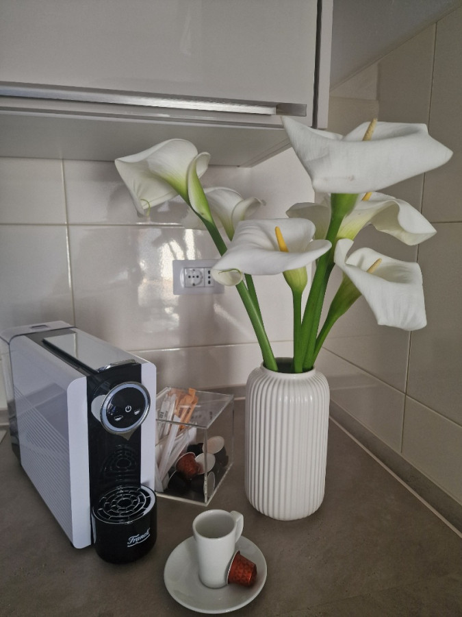 Adriatic Rovinj Apartment, Apartments Cerin-Rovinj, Croatia Rovinj