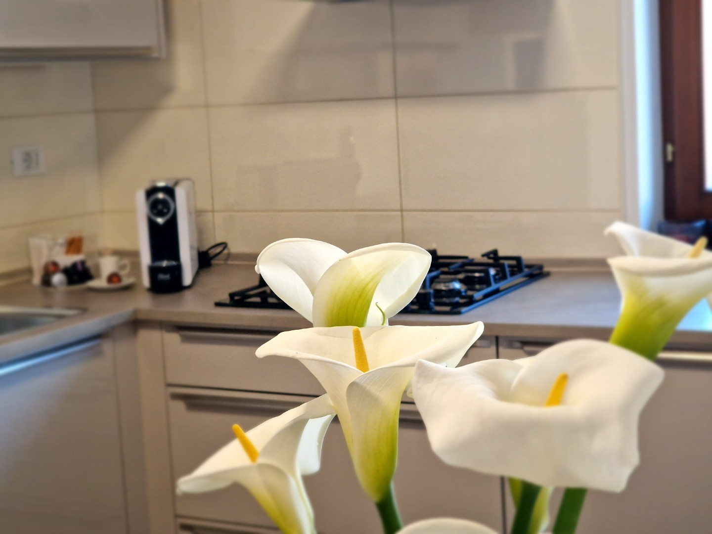 Apartments Cerin in Rovinj - A getaway infused with style and privacy, Apartments Cerin-Rovinj, Croatia Rovinj